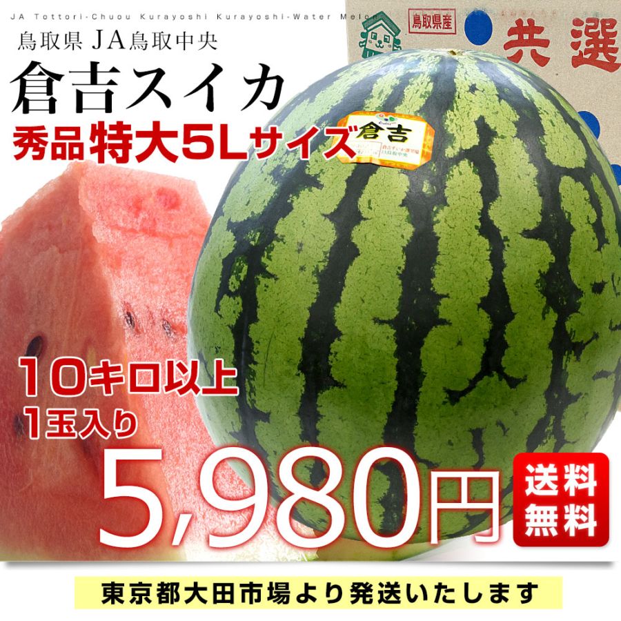 スイカ 鳥取県産JA鳥取中央 倉吉スイカ 秀品 大玉4Lサイズ 9キロ以上 1