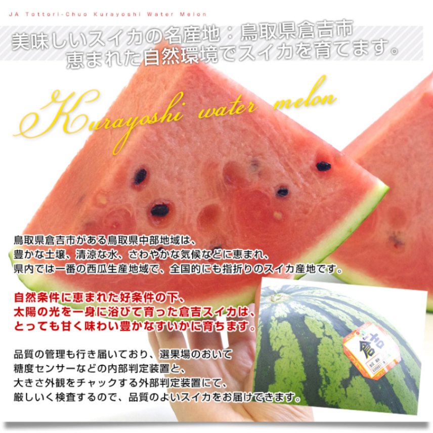 スイカ 鳥取県産 JA鳥取中央倉吉スイカ 極実（ごくみ） 秀品 3L以上の
