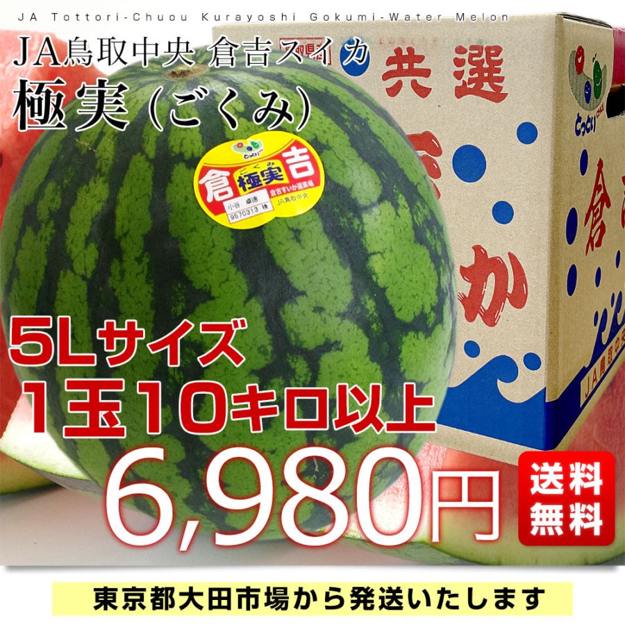 鳥取県産 JA鳥取中央倉吉スイカ 極実（ごくみ） 秀品 特大5Lサイズ