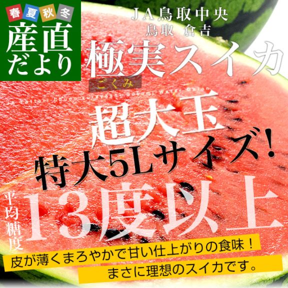 鳥取県産 JA鳥取中央倉吉スイカ 極実（ごくみ） 秀品 特大5L