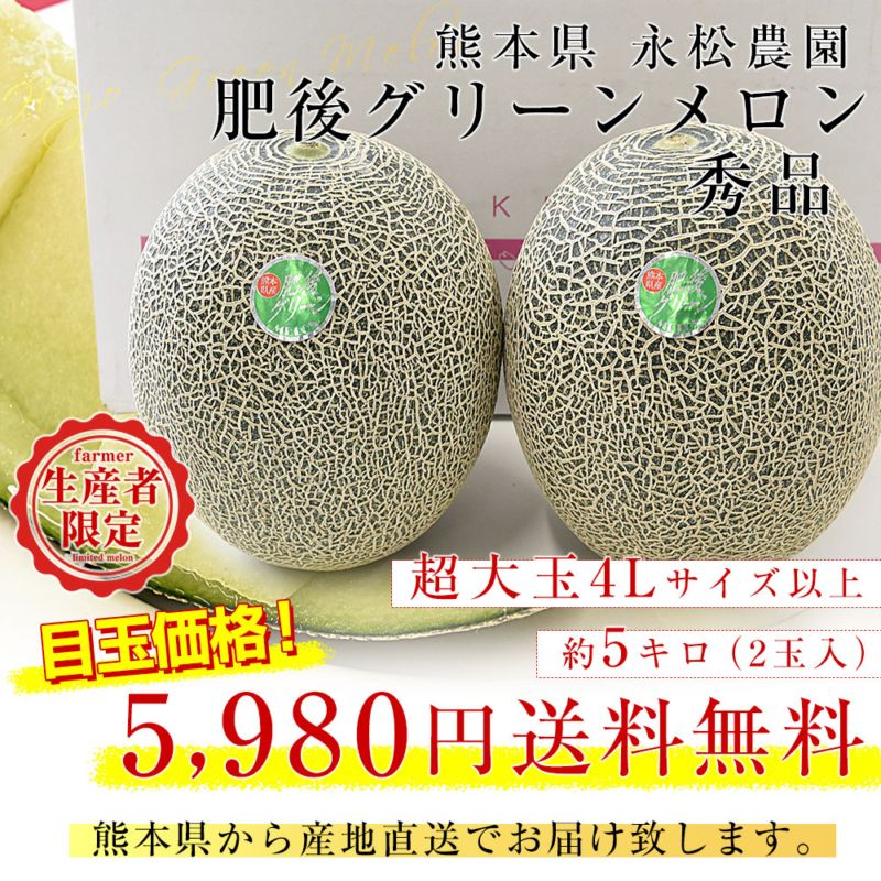 熊本県より産地直送 永松農園 肥後グリーンメロン 秀品 大玉4Lサイズ