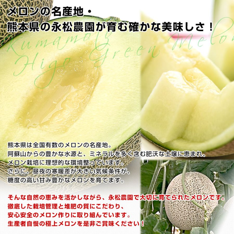 熊本県より産地直送 永松農園 肥後グリーンメロン 秀品 大玉4L