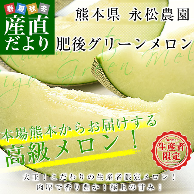 熊本県より産地直送 永松農園 肥後グリーンメロン 秀品 大玉4Lサイズ