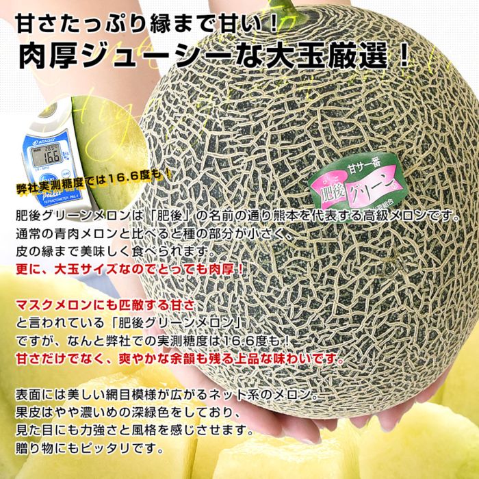 熊本県から産地直送 荻迫出荷組合 青肉メロン つる付き肥後グリーン