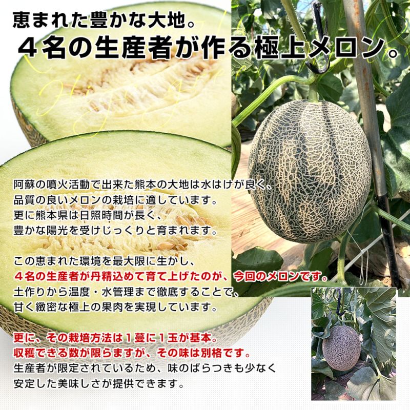熊本県から産地直送 荻迫出荷組合 青肉メロン つる付き肥後