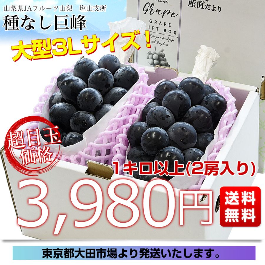 ふきのとう 3kg以上 YG302G 鬼掛ふかせウキ 桐材 「国見工房 TRIPLE-K-W」 オレンジ | 鬼掛