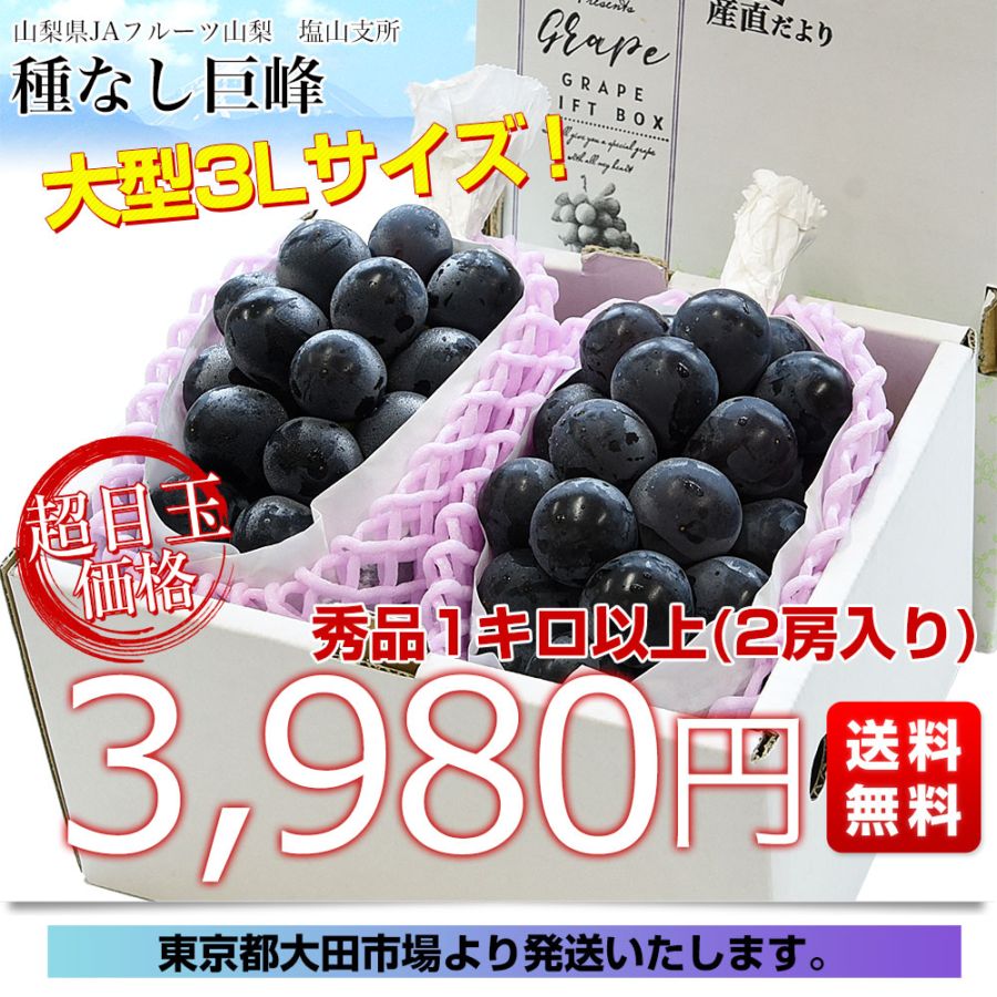 山梨県産 JAフルーツ山梨 塩山支所 種なし巨峰 大型3Lサイズ 秀品1キロ