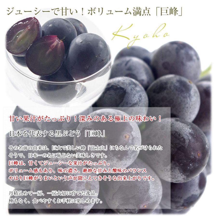 山梨県 JAフルーツ山梨 塩山支所 種なし巨峰 大型3Lサイズ 1キロ以上