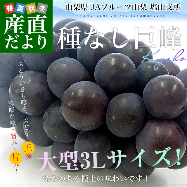 巨峰　出品　13個 ハウス 種なし巨峰 | 山梨の果物ギフト・オンライン直売なら、産地直送