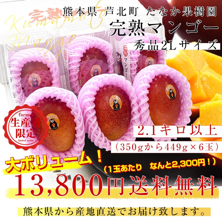 熊本県から産地直送 芦北町 たなか果樹園 完熟マンゴー 秀品 大玉2L