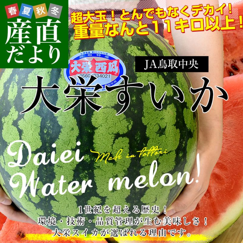 Ļ�踩 JAĻ����� ��ɤ����� ���� Ķ��� �å����� 11�����ʾ� 1�� ����̵�� ������ ���� ��̥�����