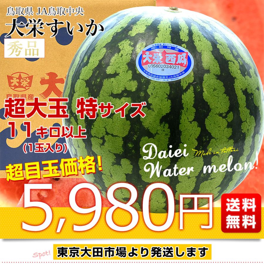 鳥取大栄　秀品特　西瓜11キロあっぷ 楽天市場】鳥取 大栄すいか 秀品 (特×1玉) 鳥取産 スイカ 大栄