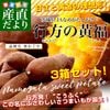 ��븩��껺��ľ�� JA�ʤ᤬���������� ���Ĥޤ��� �����β�ʡ�ʤʤ᤬���Τ����դ��� �ʼ�̾:�������� S����SS������ ��1������5�ܤ���10�ܡ�3Ȣ���åȡ�����̵�� ���Ĥް� ���ĥޥ���