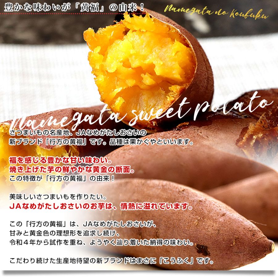 茨城県より産地直送 JAなめがたしおさい さつまいも 行方の黄福（なめ