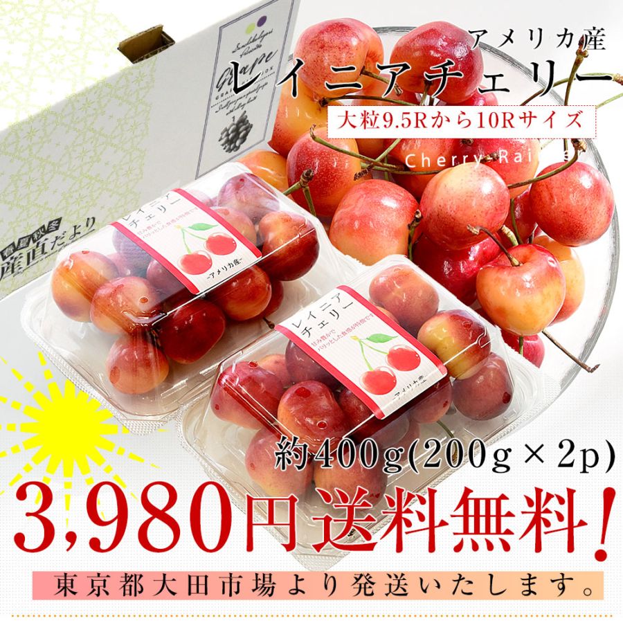 アメリカ産 大粒 レイニアチェリー 9.5Rから10Rサイズ 約400g(200g×2p