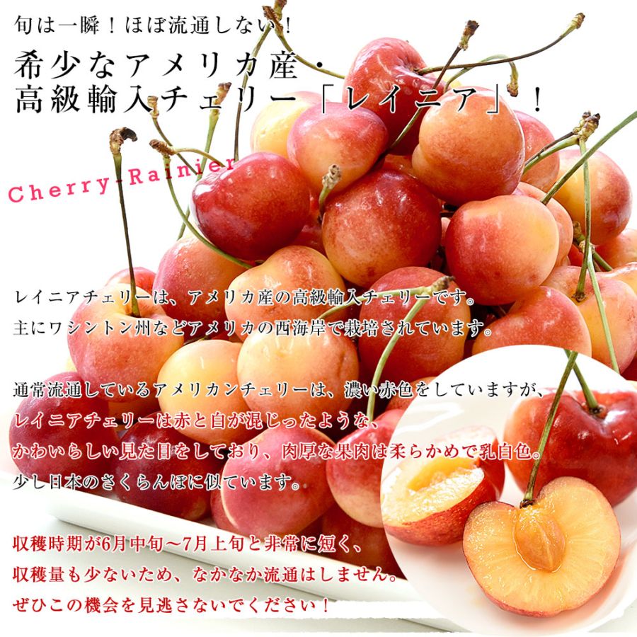 アメリカンチェリー 8kg 9.5R 大容量8kg特大玉9.5R‼️アメリカン