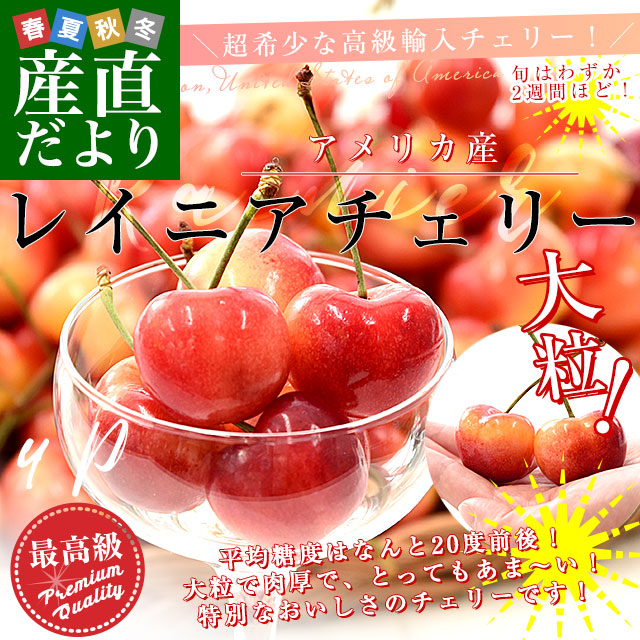 アメリカ産 大粒 レイニアチェリー 9.5Rから10Rサイズ 約800g(200g×4p