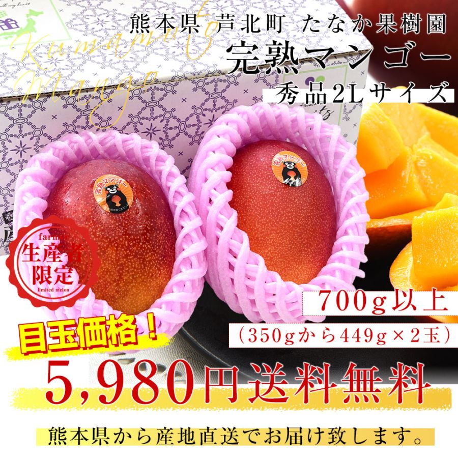摘果マンゴー2/13 摘果マンゴー 13kg - メルカリ