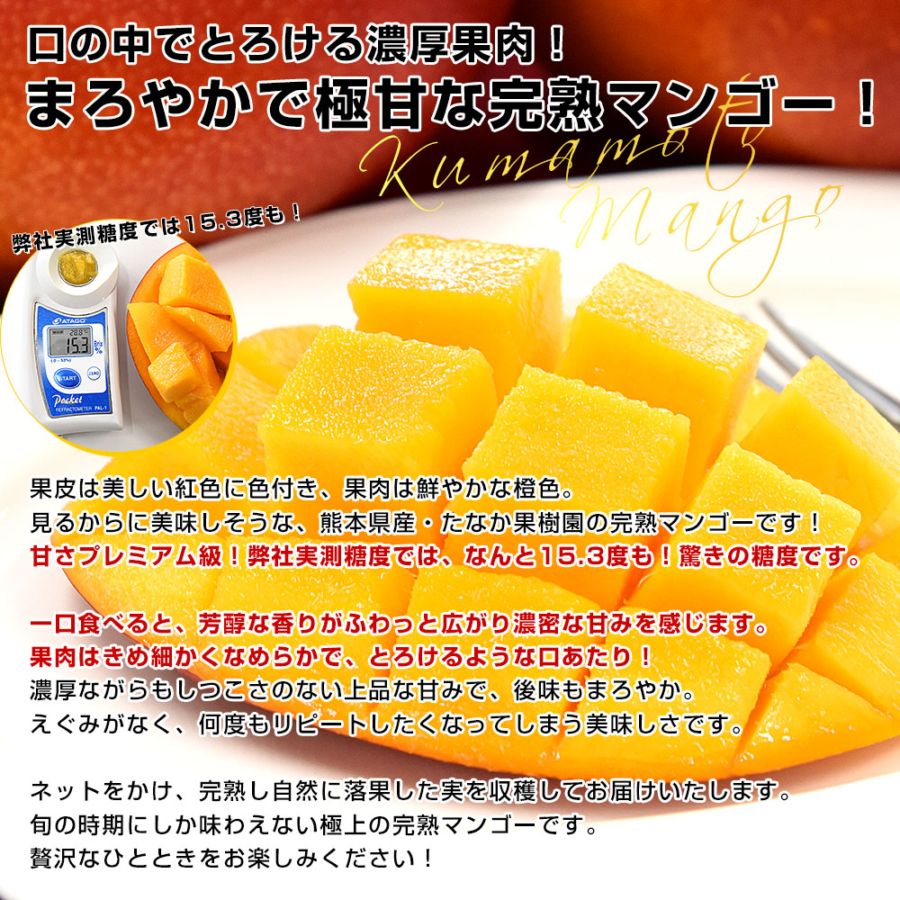 熊本県から産地直送 芦北町 たなか果樹園 完熟マンゴー 秀品 大玉2L
