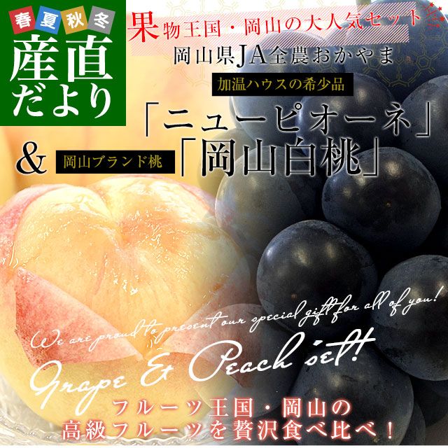  JA ץߥʪե ֹϥݥ˥塼ԥ1˼̡ ˼̵ եȡƥե 渵渵