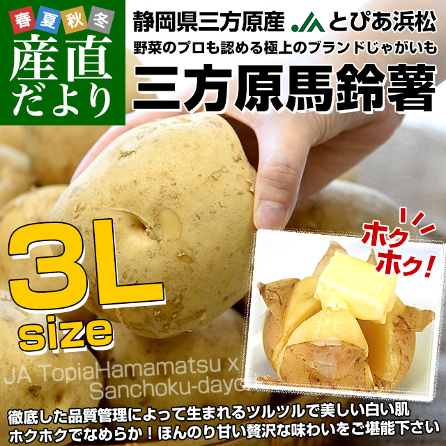 静岡県産 JAとぴあ浜松 三方原馬鈴薯 3Lサイズ 約10キロ（30玉前後