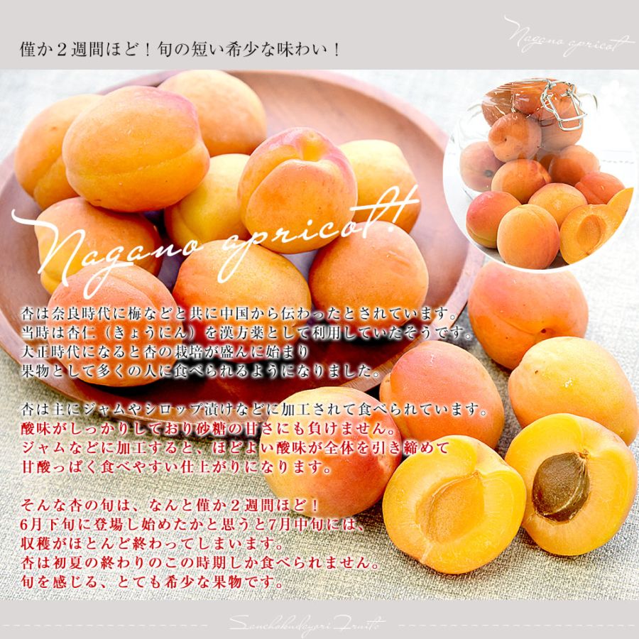 ① あんず 杏子 杏 アプリコット 約1.2kg~旬 新鮮 匿名配送 ⑦ あんず 杏子 杏 アプリコット 約1.2kg~旬 新鮮 匿名配送
