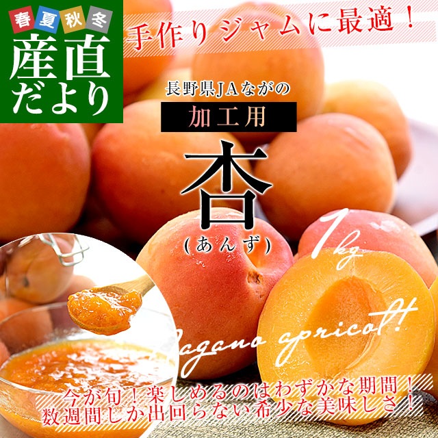 ★信州大実　5kg 信州産 あんず　杏　生あんず　アプリコット 長野県産 JAながの 加工用「杏（あんず）」（品種：信州大実