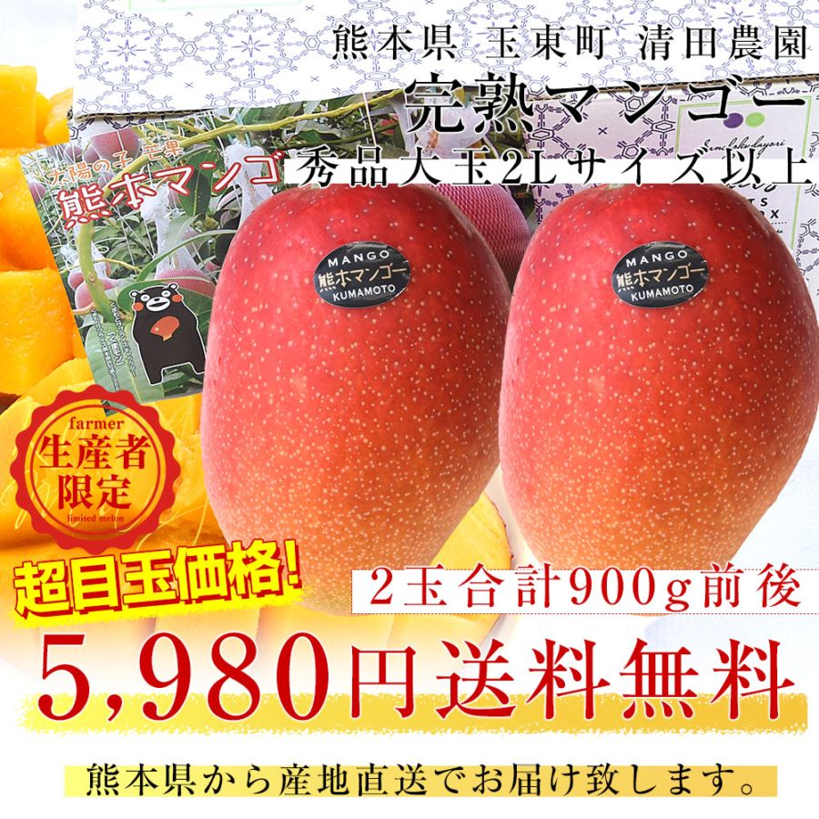 熊本県から産地直送 完熟マンゴー 玉東町 清田農園 秀品 大玉2Lサイズ