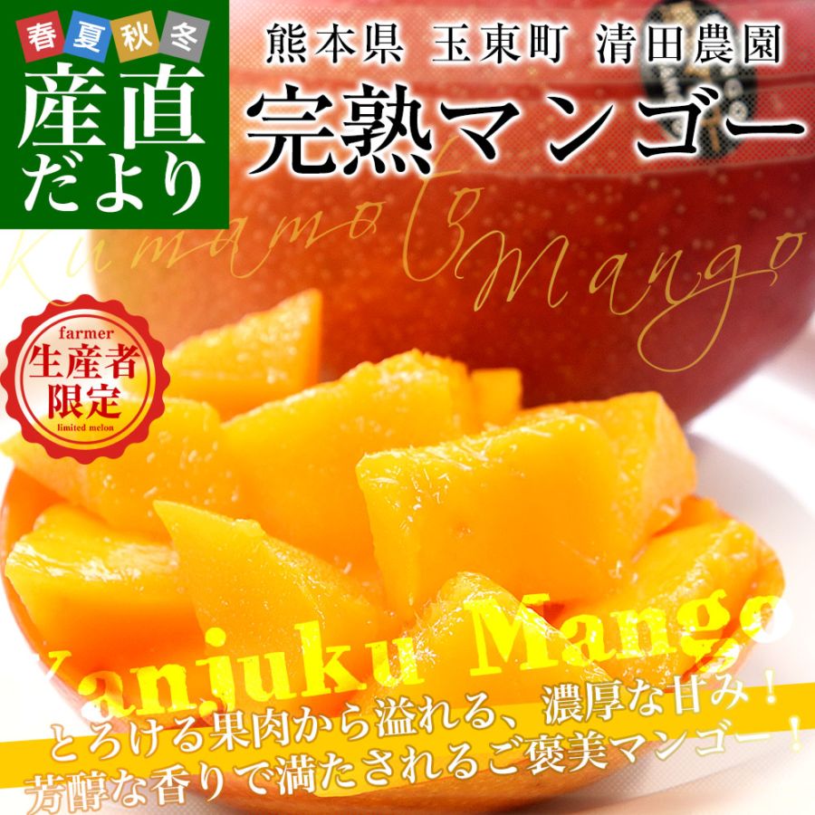 熊本県から産地直送 完熟マンゴー 玉東町 清田農園 秀品 大玉2Lサイズ