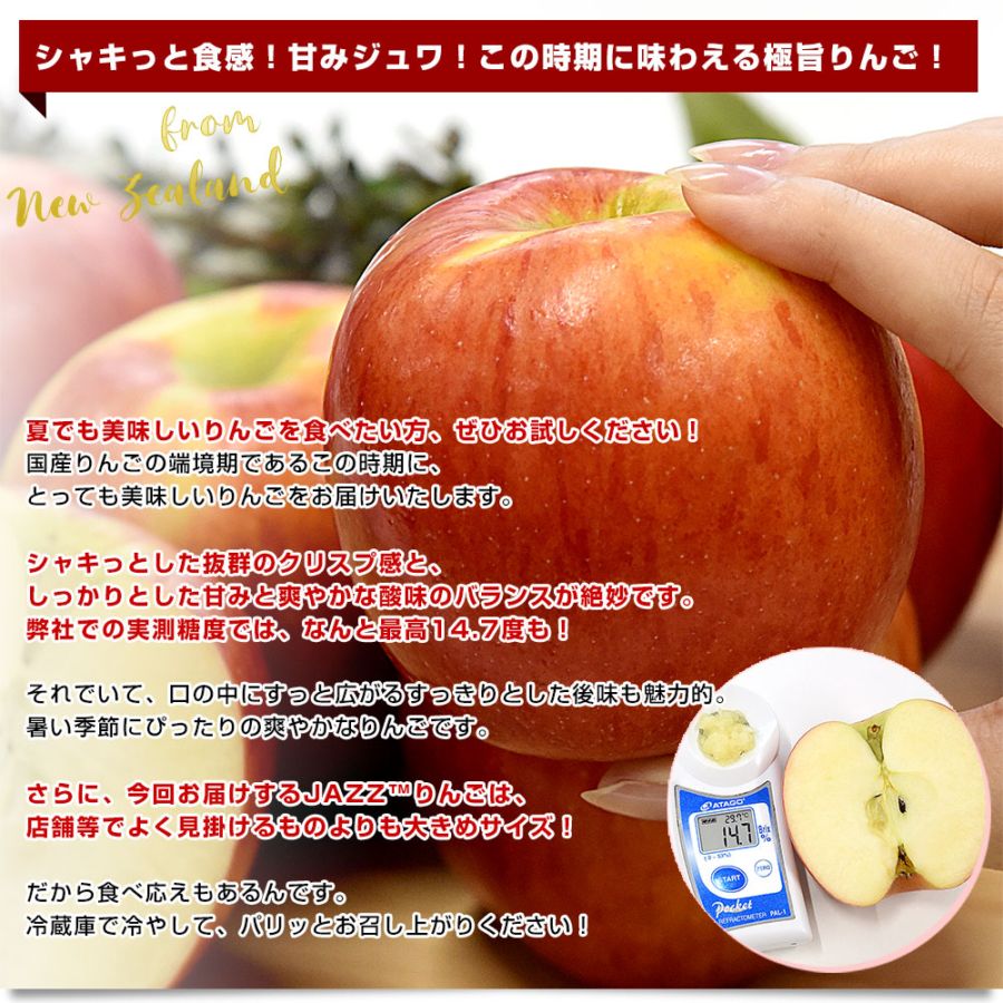 ニュージーランド産 JAZZりんご(品種:サイフレッシュ) 約2.6キロ