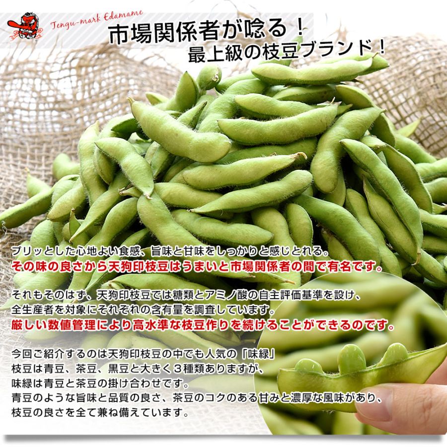 群馬県 沼田利根蔬菜出荷組合 天狗印の枝豆 味緑（みりょく）1キロ