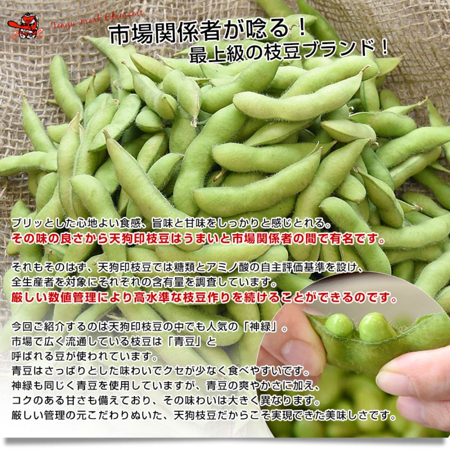 群馬県 沼田利根蔬菜出荷組合 天狗印の枝豆 神緑（しんりょく）1キロ