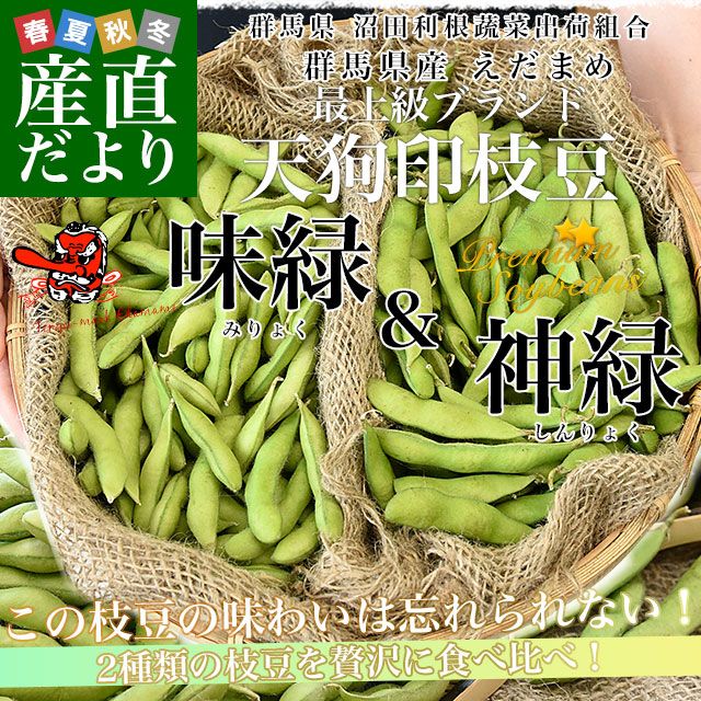 群馬県 沼田利根蔬菜出荷組合 天狗印の枝豆 味緑・神緑セット（みりょ