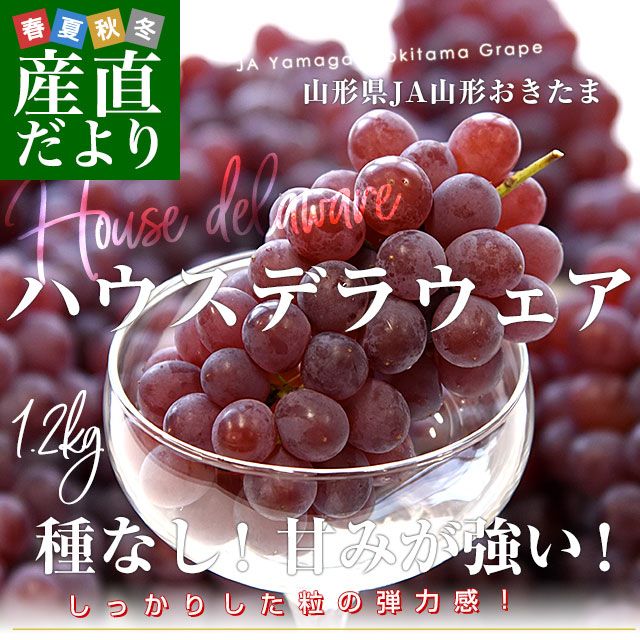 ������ JA������������ �ϥ������� �ǥ饦�����ʼ�ʤ��� ���� 2L������ ��1.2������8˼����� ����̵�� �֤ɤ� ��ƺ �֥ɥ� ��������