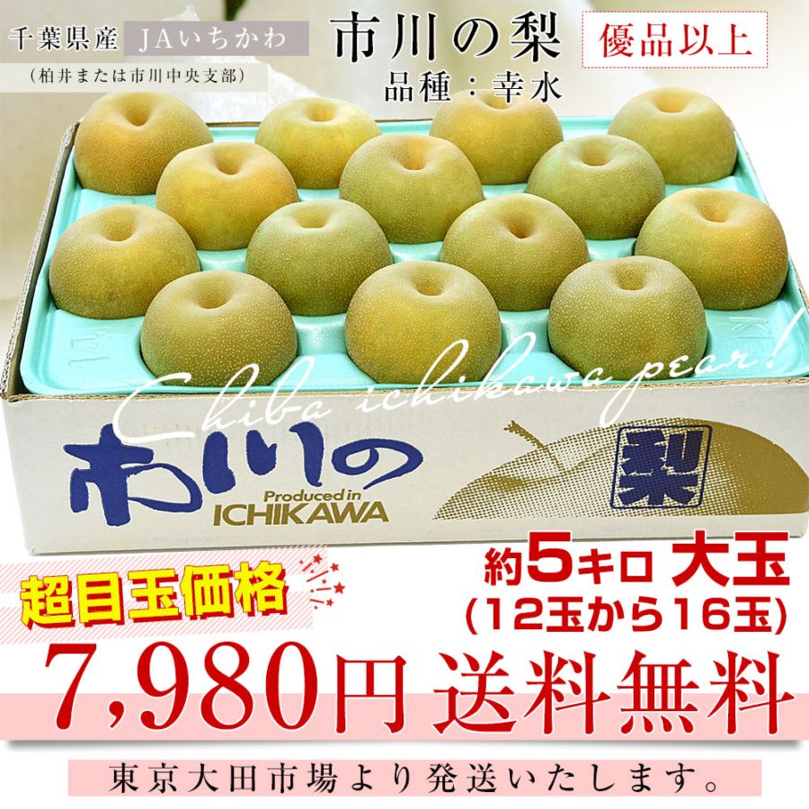 千葉県産 JAいちかわ 市川の梨 （柏井または市川中央支部）優品以上
