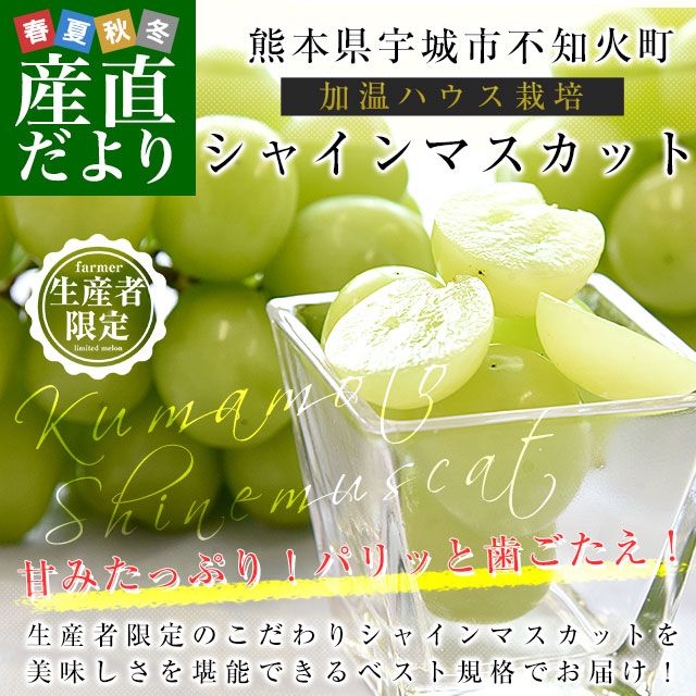 ���ܸ����黺��ľ�� ���ܱ���Ԥ������Ը��� �ò��ϥ������ݡ������ڤꥷ�㥤��ޥ����å� ���600g(��300g��2�ѥå�) ����̵�� from�彣 �֤ɤ� �֥ɥ� ��ƺ