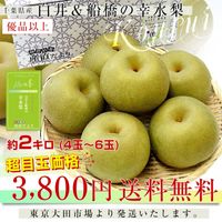 幸水梨　ランクC    15〜16キロ　お盆セール 幸水梨ランクC 15〜16キロ加工用