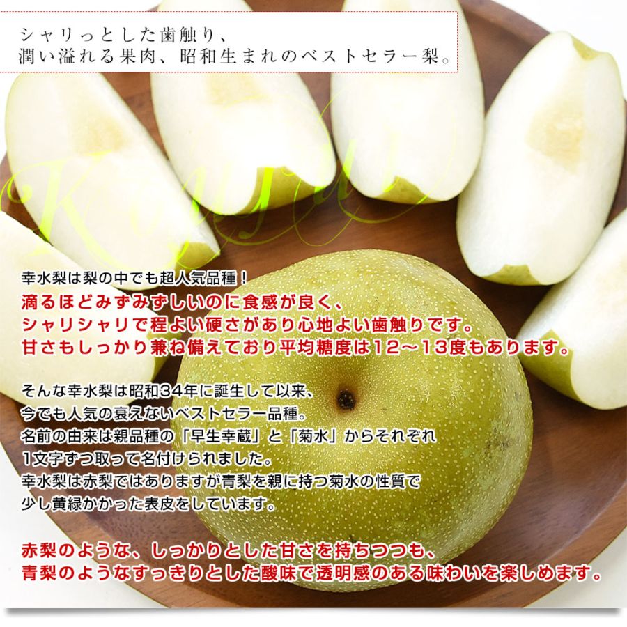 千葉県産 白井＆船橋の幸水梨 優品以上 幸水梨 約2キロ(4から6玉