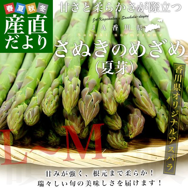 佐恵さま専用　アスパラ Amazon | サカタのタネ 実咲野菜3730 どっさりアスパラガス