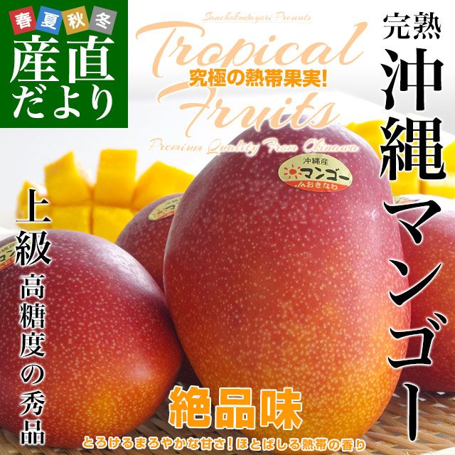奧羽のチャッペ様/沖縄産★おすすめミニマンゴー (約6kg )クール発送 0000000027002_8NpYTa9.jpg