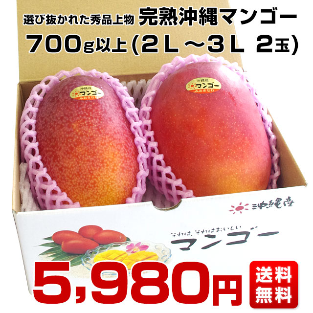 沖縄県産 JAおきなわ 完熟沖縄マンゴー 秀品 2Lから3Lサイズ×2玉 合計