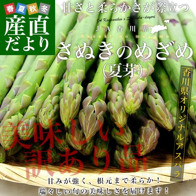 껺ľJAꥢѥ ̤ΤᤶᡡƲ 羮1ݵ¾̵