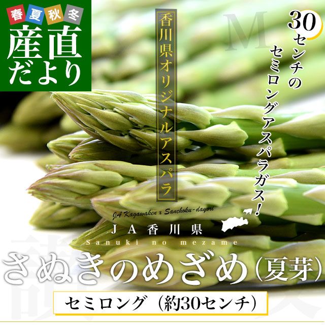 佐恵さま専用　アスパラ Amazon.co.jp: 網元大将 香川県産アスパラガス さぬきのめざめ