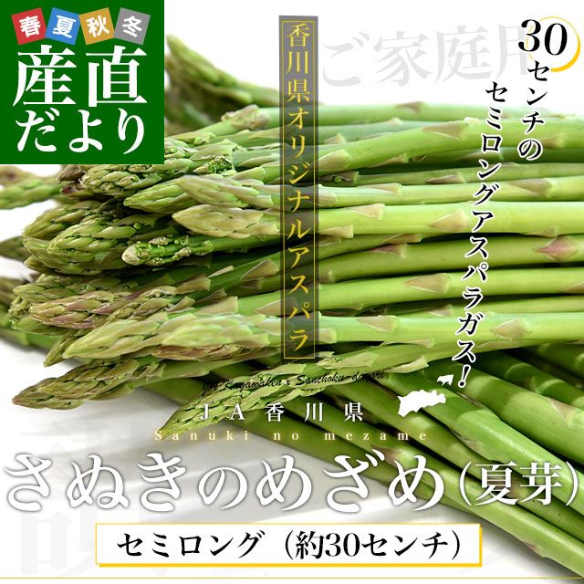 �����껺��ľ�� JA��������ѥ� ���̤��Τᤶ�� ���ߥ��� �Ʋ����30������������ꤴ�����ѡʺ�A��������1�������� ����̵�� �ݵ���¾ 30����������ѥ饬��