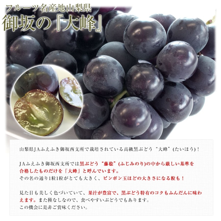 ふきのとう 3kg以上 楽天市場】ふきのとう（総重量（野菜）～299g）（食品）の通販