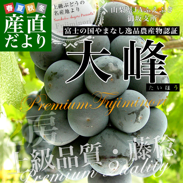 ブドウ大事典　農文協 ブドウ大事典 | 農文協 |本 | 通販 | Amazon
