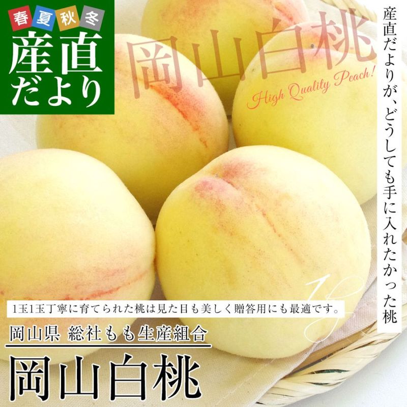 ���������黺��ľ�� ���Ҥ�������ȹ硡�������� �Ľ��ʾ� ��1����  (3�̤���6��) ����̵�� �� ��� ��� �ԡ��� ���渵 ���ե�