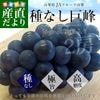��������껺��ľ�� JA�ե롼�Ļ��� ��ʤ����� ���� ��˼2˼���경��Ȣ (��550g��2˼) ����̵�� ��ƺ �֤ɤ� 