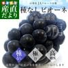 ��������껺��ľ�� JA�ե롼�Ļ��� ��ʤ��ԥ����� ���� ��˼2˼���� ����Ȣ (��550g ��2˼) ����̵�� ��ƺ �֤ɤ����ե� 