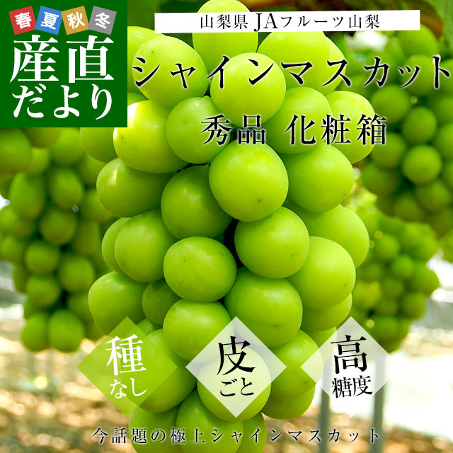 【最終 秀品 シャインマスカット8房】山梨県産シャインマスカット 化粧箱送料込 山梨県より産地直送 JAフルーツ山梨 シャインマスカット 秀品 大房1房